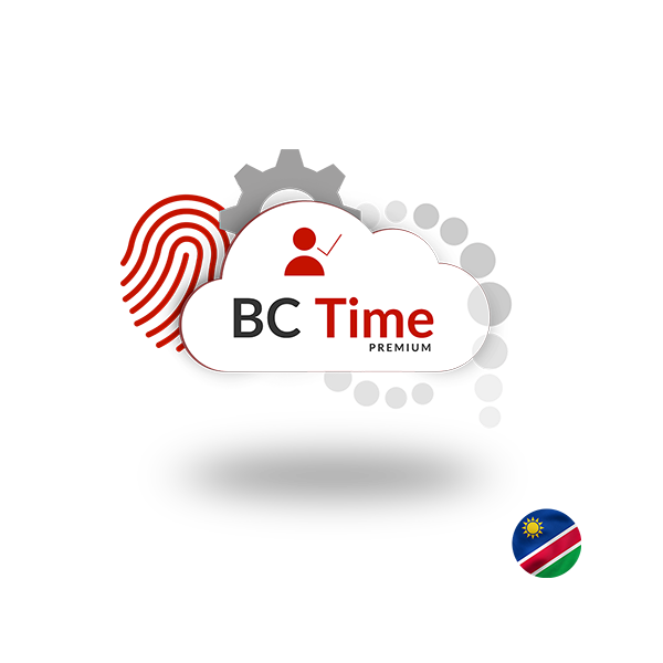 BC Time clocking system Namibia cost